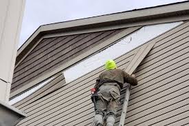 Best Residential Vinyl Siding Installation  in Anson, TX